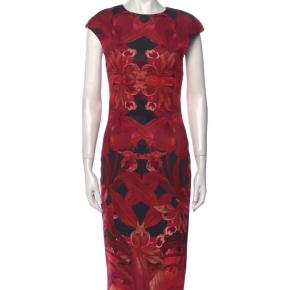 Ted Baker Dress -2